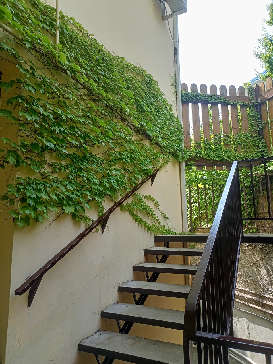 Мини-отель Лаза Лазаревское-71