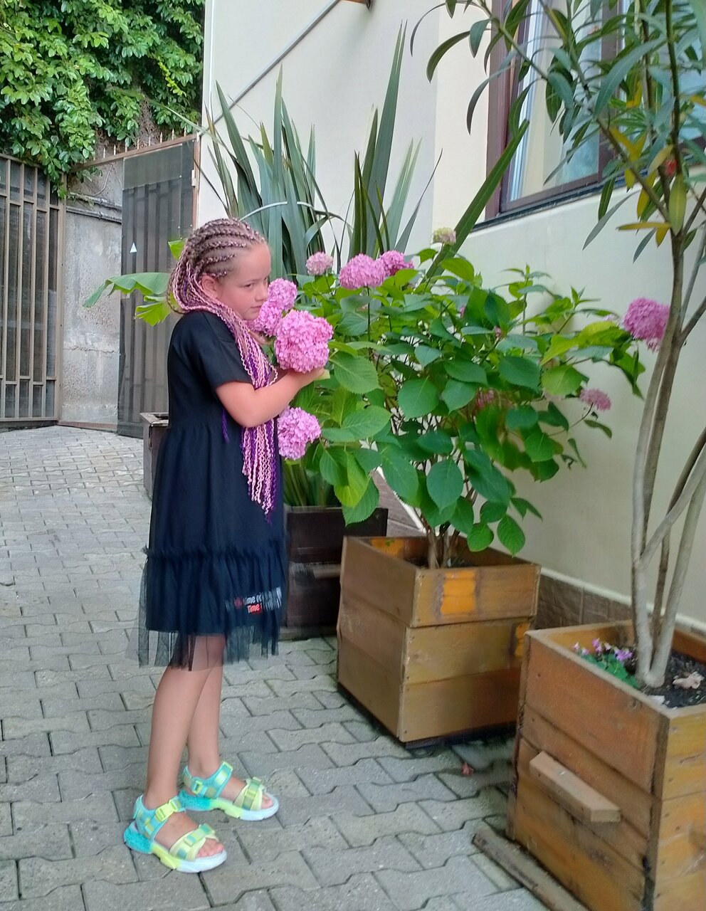 Мини-отель Лаза Лазаревское-100