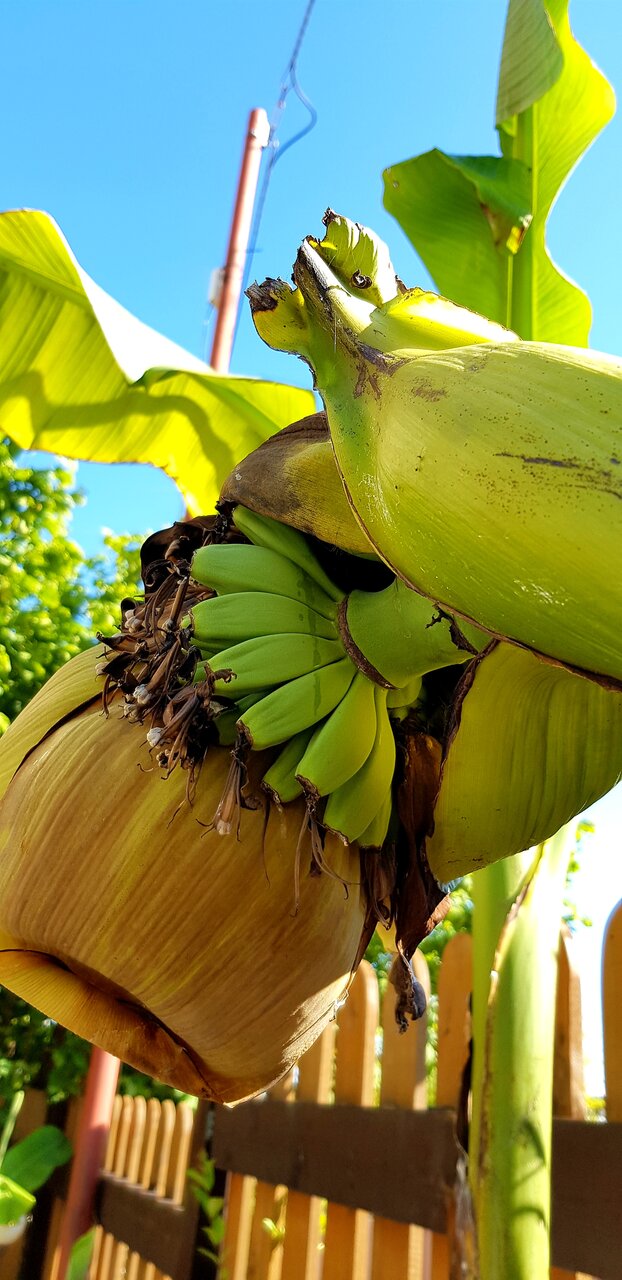 Мини-отель Лаза Лазаревское-78